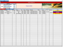 Load image into Gallery viewer, Planilha de Finanças em Ordem - Versão 2.6