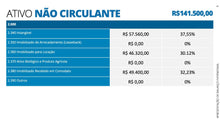 Load image into Gallery viewer, Apresentação Balanço Patrimonial - Go Fast