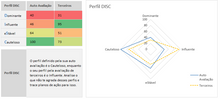 Load image into Gallery viewer, Planilha de Teste de Perfil DISC em Excel 4.0