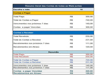 Load image into Gallery viewer, Planilha de contas a pagar e receber por centro de custos - 5.0