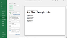 Load image into Gallery viewer, Planilha de Plano de Negócios para Pet Shops em Excel 4.0
